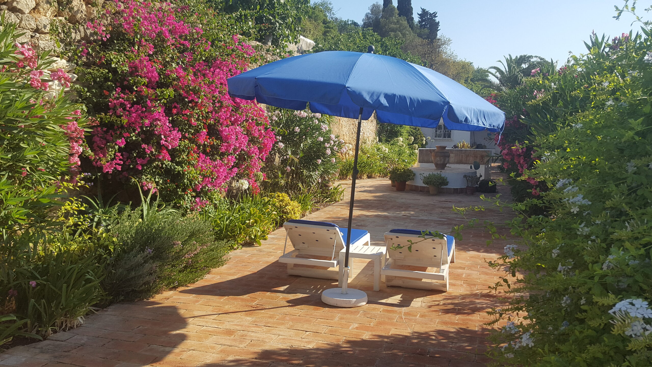 Algarve Villa Rentals